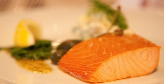 Salmon