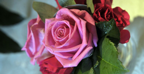 Floral decoration at Edinburgh Castle open day