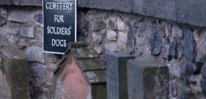wall with sign saying cemetery for soldiers dogs