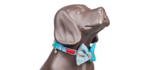 model of a dog wearing a blue bow tie