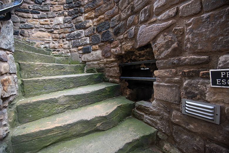 A hole in a wall with metal bars across it, leading on to some stone steps.