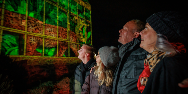 A photo of two adults and two young people looking at a light installation at Edinburgh Castle of Light, smiling.