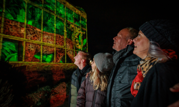 A photo of two adults and two young people looking at a light installation at Edinburgh Castle of Light, smiling.