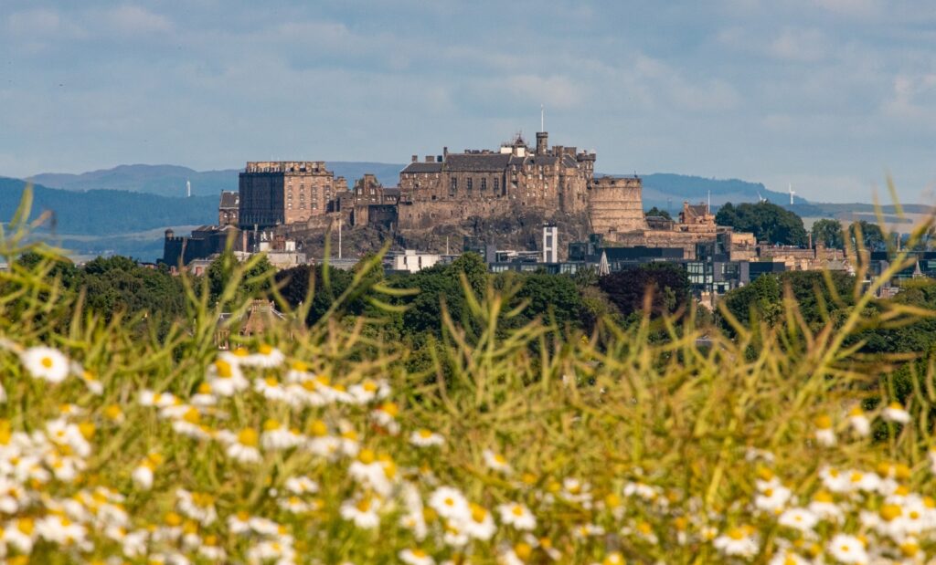 Edinburgh Castle on a sunny day, shot from a distance across a meadow with daisies.