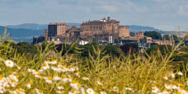 Edinburgh Castle on a sunny day, shot from a distance across a meadow with daisies.