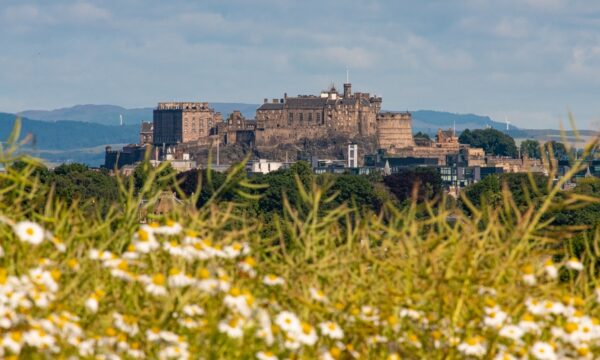 Edinburgh Castle on a sunny day, shot from a distance across a meadow with daisies.